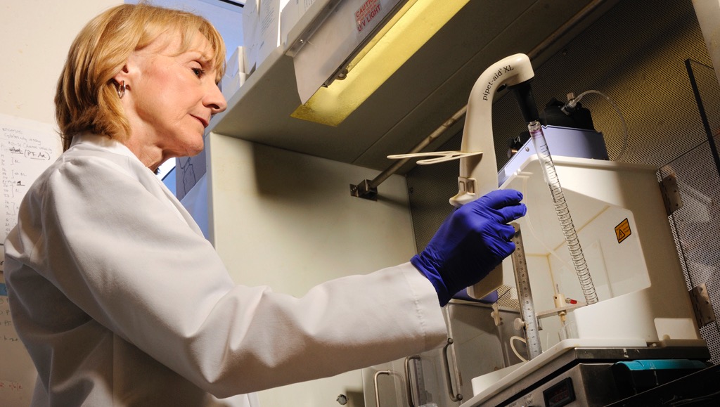 Dr. Susan Safley in her lab